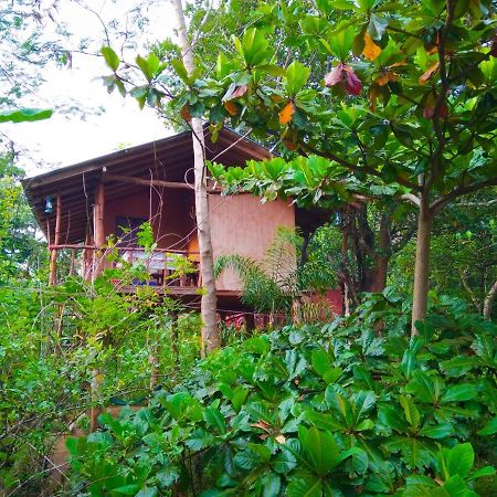 Apartmán Akash Treehouse Sigiriya Exteriér fotografie