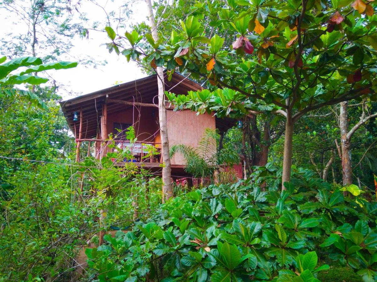Apartmán Akash Treehouse Sigiriya Exteriér fotografie