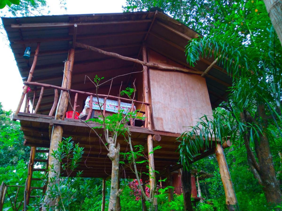 Apartmán Akash Treehouse Sigiriya Exteriér fotografie