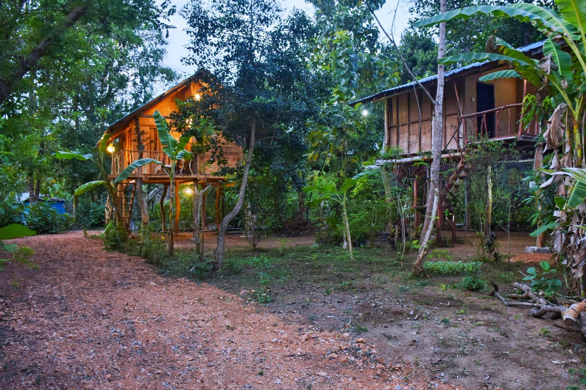 Apartmán Akash Treehouse Sigiriya Exteriér fotografie