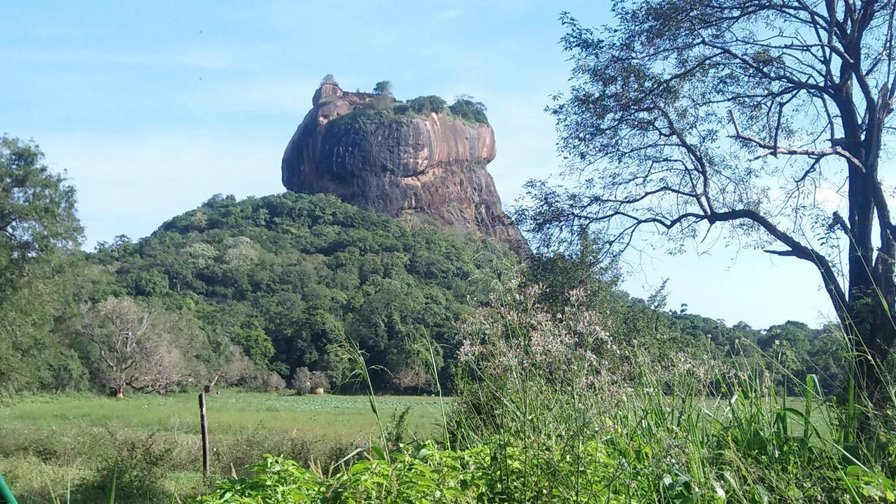 Apartmán Akash Treehouse Sigiriya Exteriér fotografie