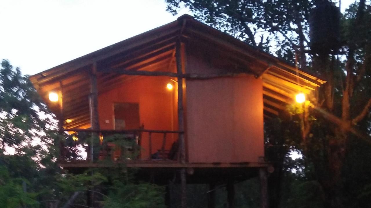 Apartmán Akash Treehouse Sigiriya Exteriér fotografie