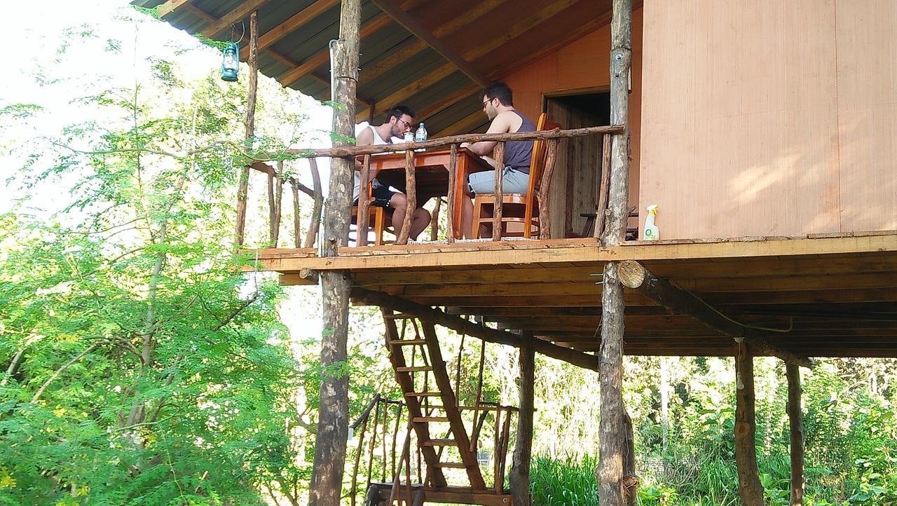 Apartmán Akash Treehouse Sigiriya Exteriér fotografie